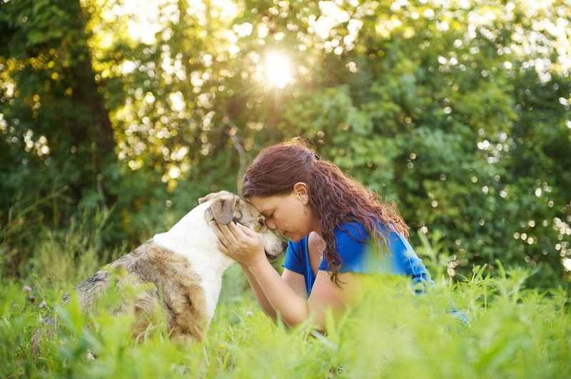 Illustration for article titled Your Morning Cry: Photos of People With Their Elderly Pets, Oh God